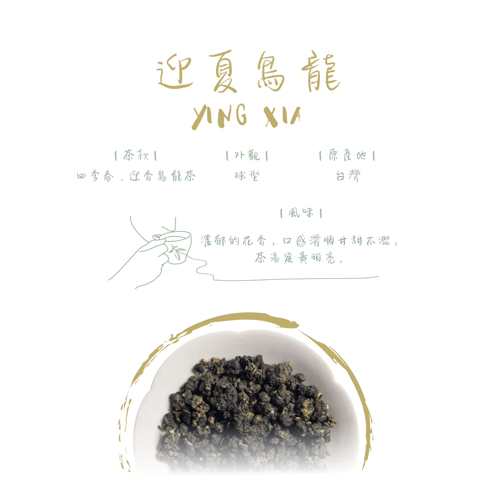 迎夏烏龍