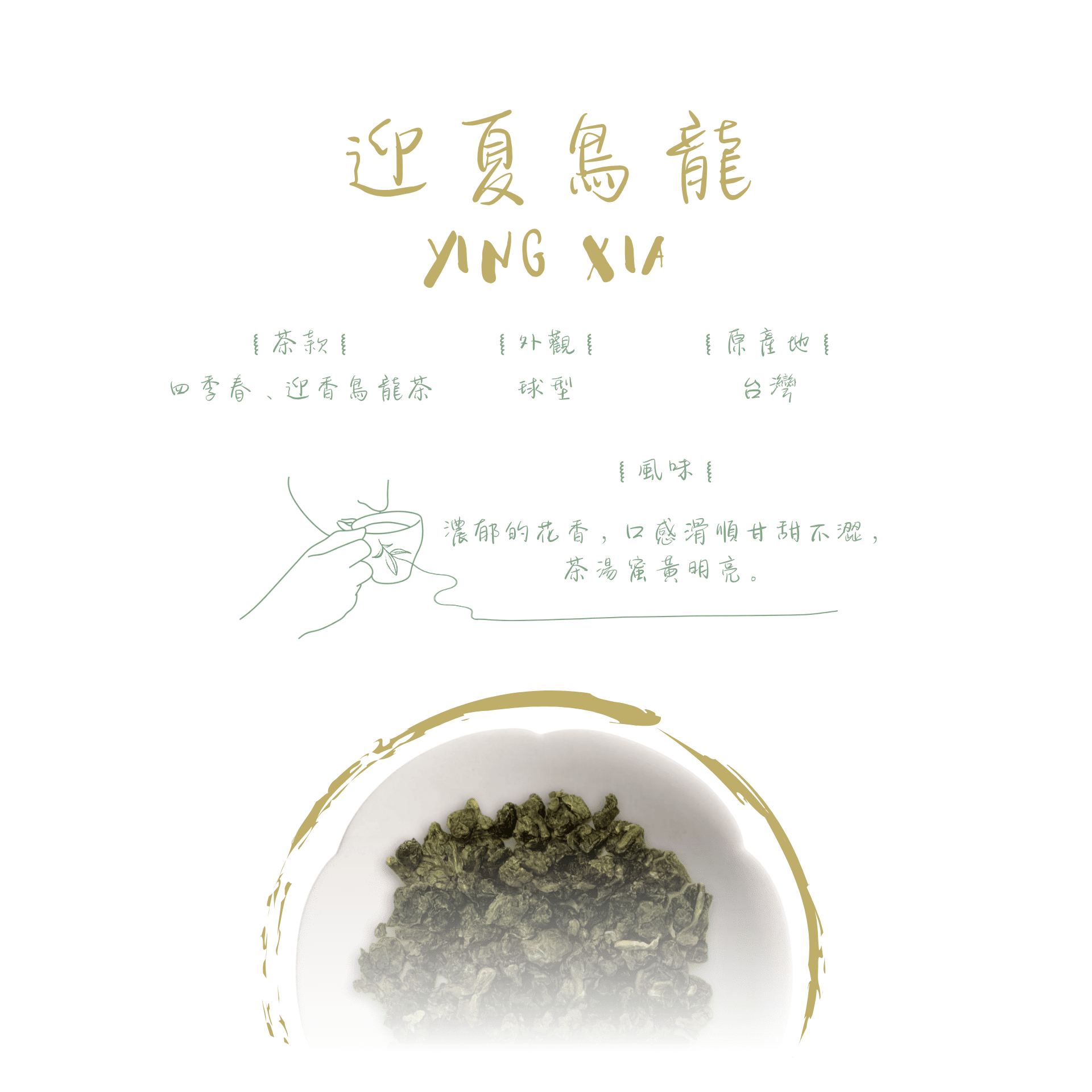 迎夏烏龍