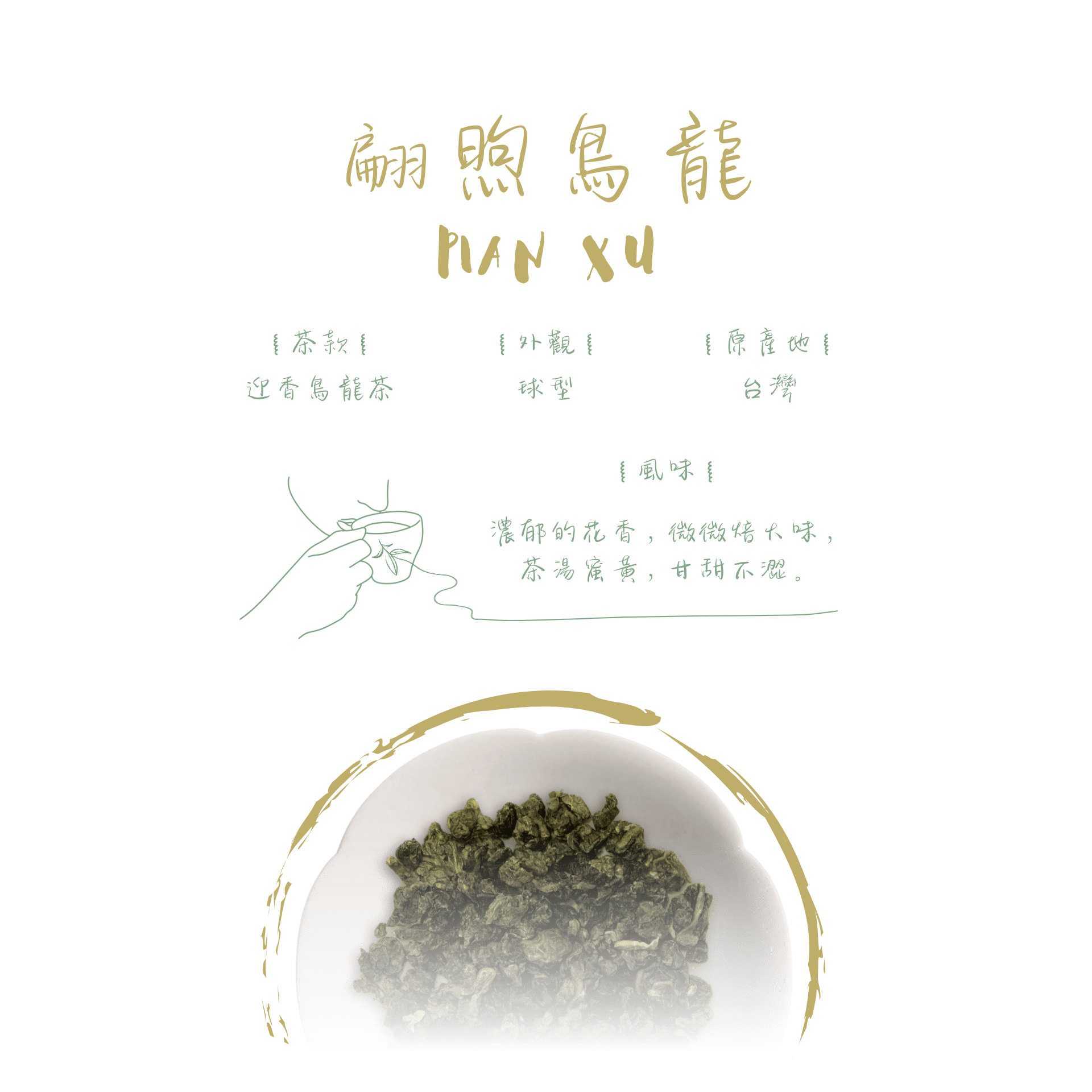 +11翩煦烏龍