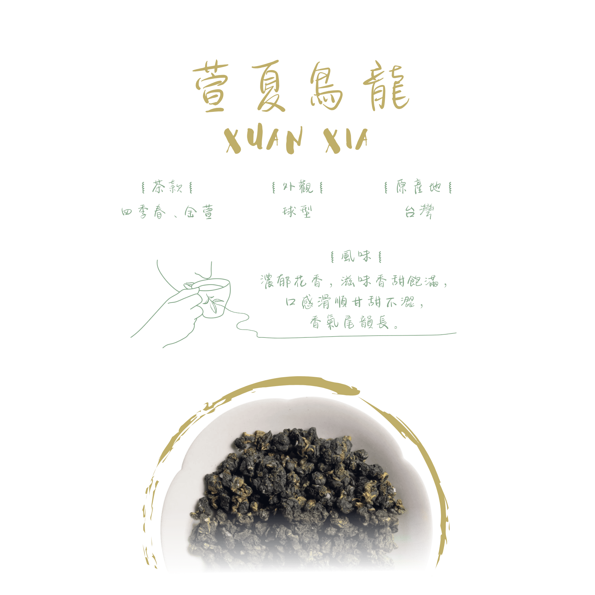萱夏烏龍