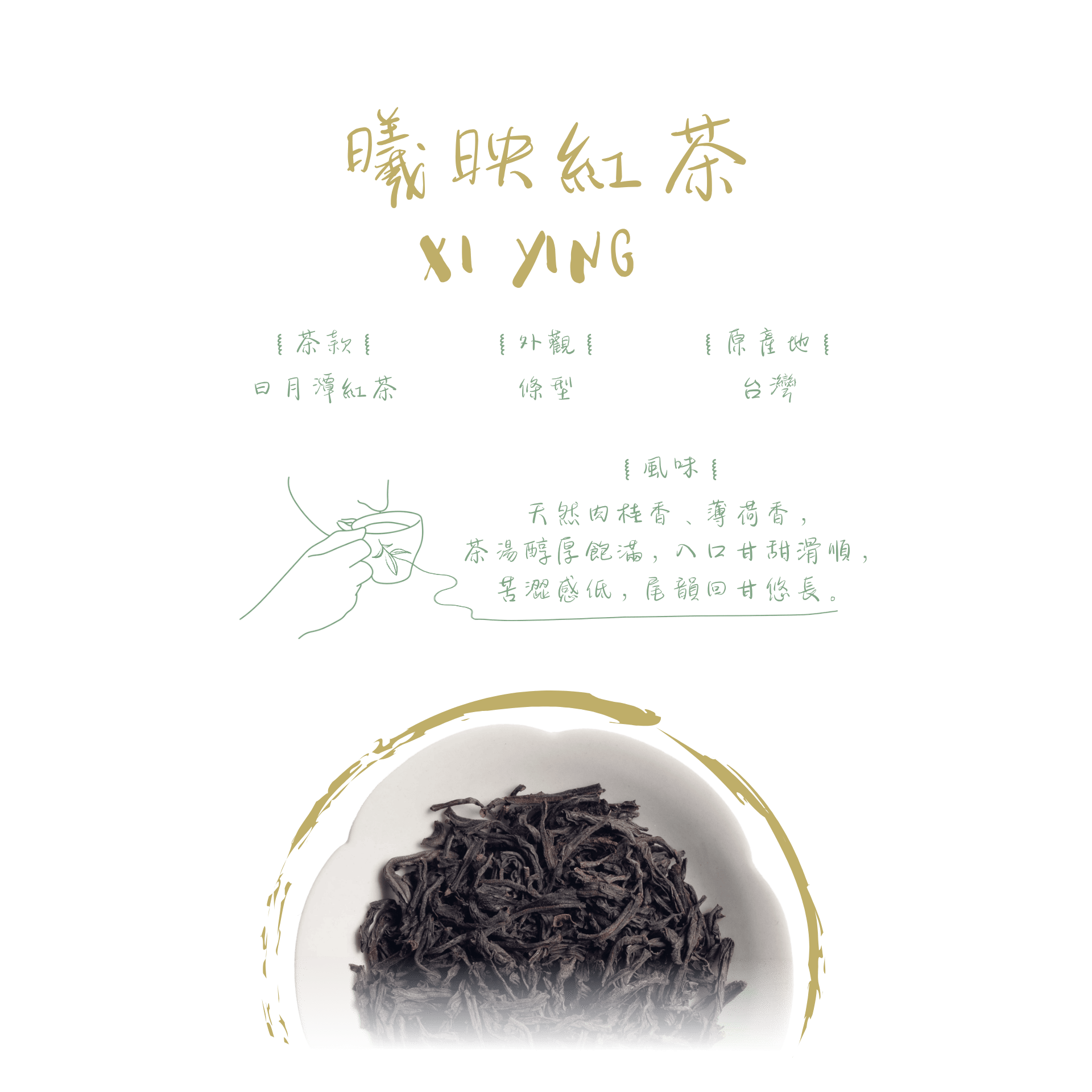 曦映紅茶