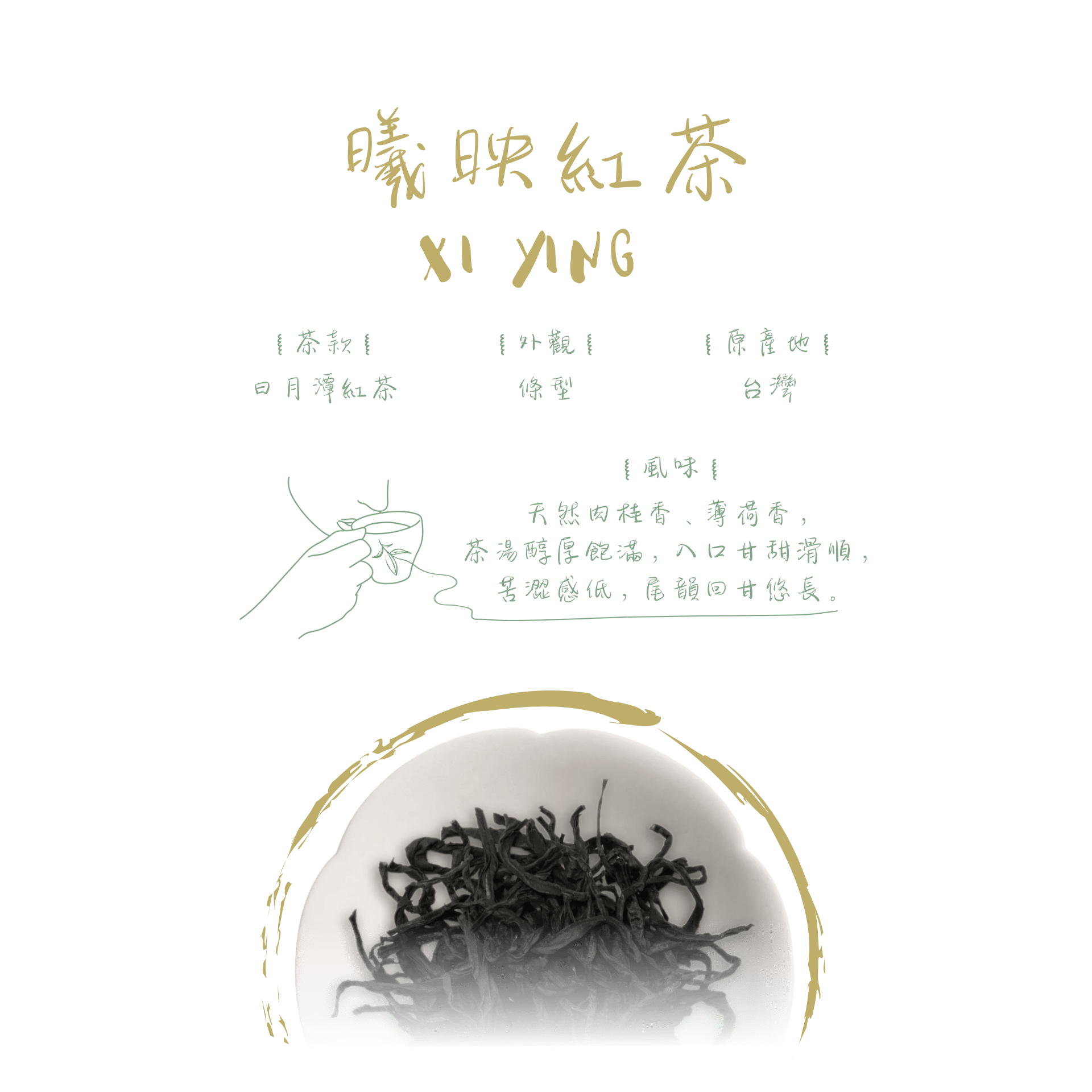 曦映紅茶