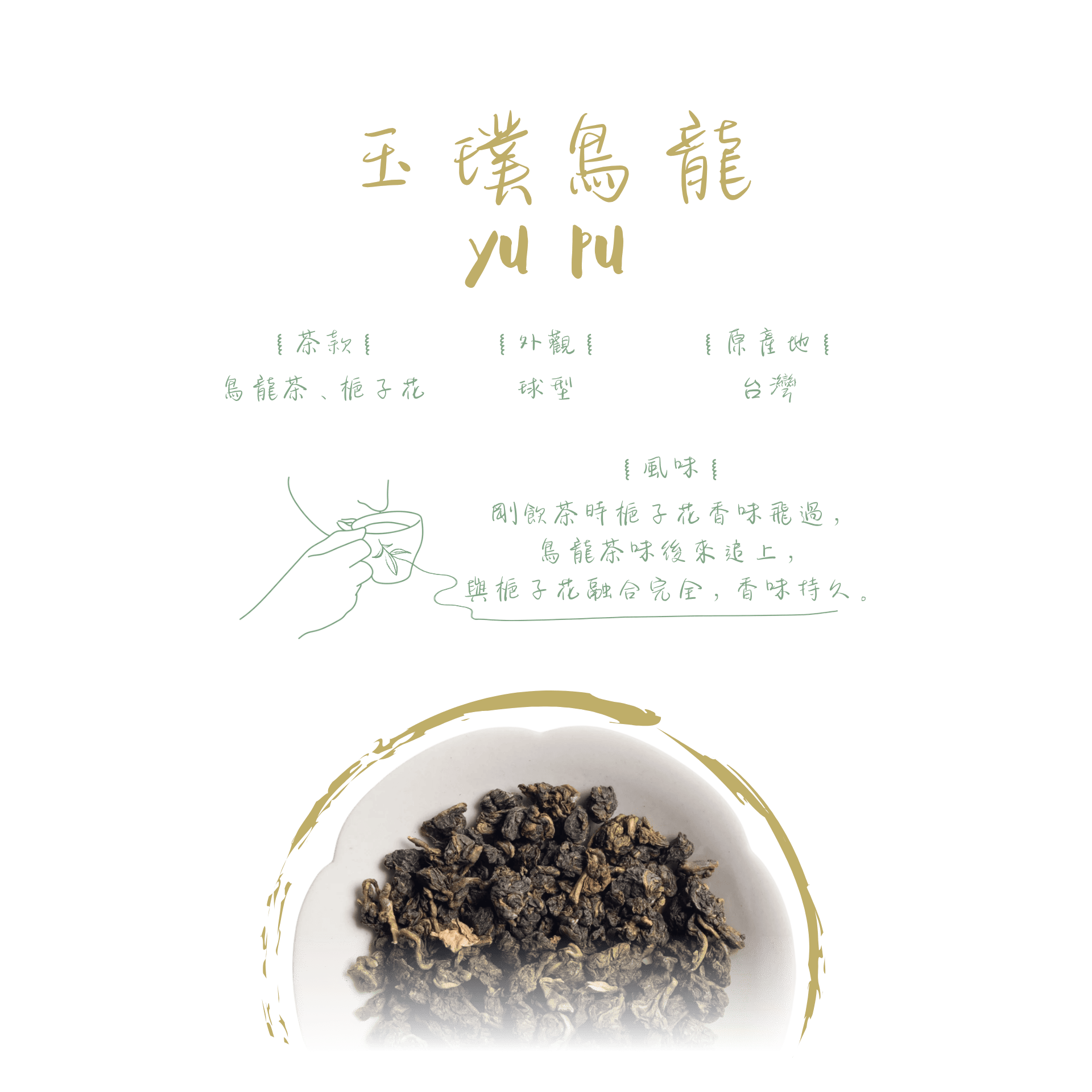 玉璞烏龍
