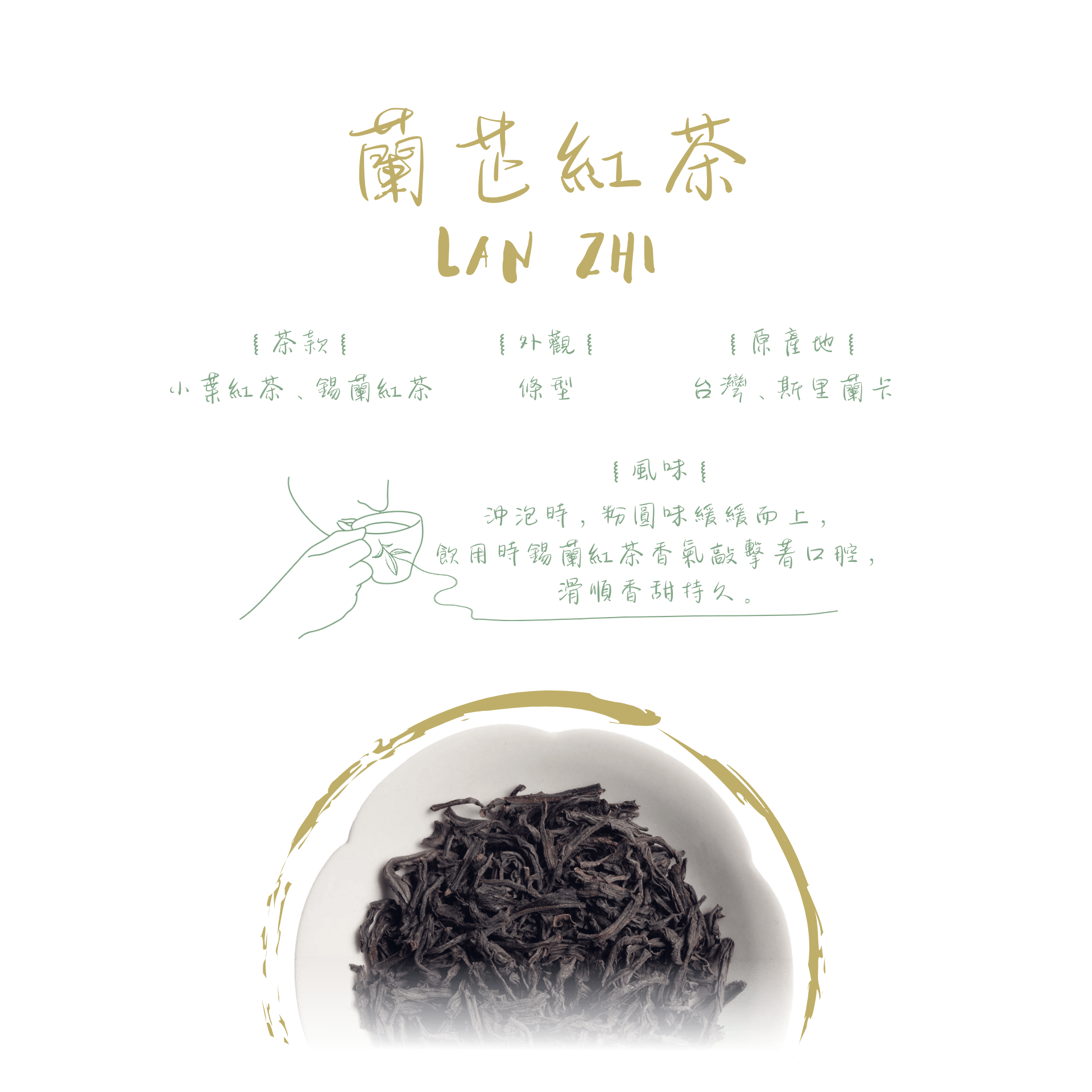 蘭芷紅茶