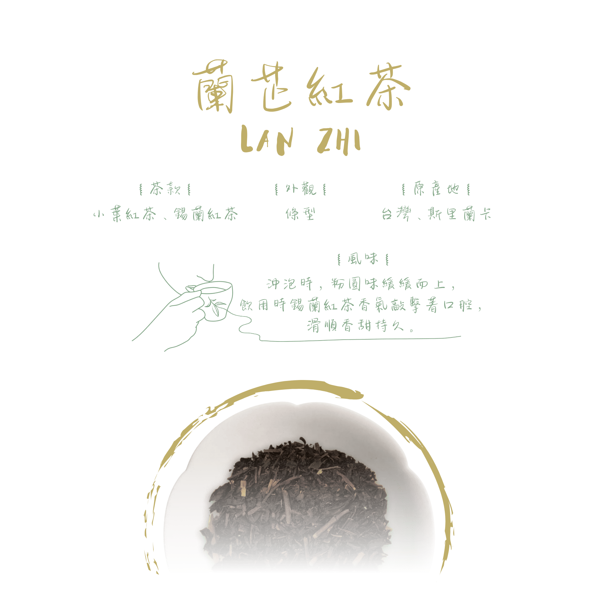 蘭芷紅茶